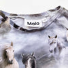 MOLO HORSES TOP 3-4 YEARS
